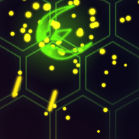 Neon battlegound